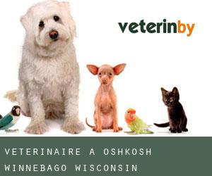 vétérinaire à Oshkosh (Winnebago, Wisconsin)