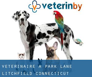 vétérinaire à Park Lane (Litchfield, Connecticut)