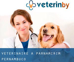 vétérinaire à Parnamirim (Pernambuco)