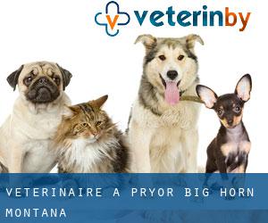 vétérinaire à Pryor (Big Horn, Montana)