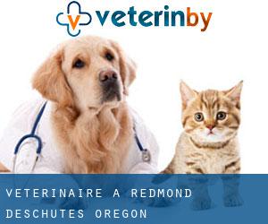 vétérinaire à Redmond (Deschutes, Oregon)
