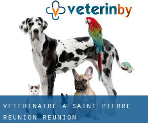 vétérinaire à Saint-Pierre (Réunion, Réunion) vétérinaire à Saint-Pierre (Réunion, Réunion)