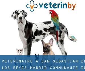 vétérinaire à San Sebastián de los Reyes (Madrid, Communauté de Madrid)