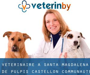 vétérinaire à Santa Magdalena de Pulpis (Castellon, Communauté Valencienne)