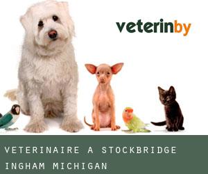 vétérinaire à Stockbridge (Ingham, Michigan)