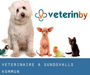 vétérinaire à Sundsvalls Kommun