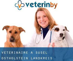 vétérinaire à Süsel (Ostholstein Landkreis, Schleswig-Holstein)
