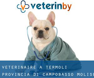 vétérinaire à Termoli (Provincia di Campobasso, Molise)