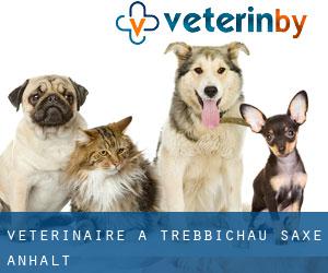 vétérinaire à Trebbichau (Saxe-Anhalt)