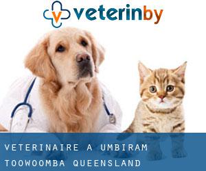 vétérinaire à Umbiram (Toowoomba, Queensland)