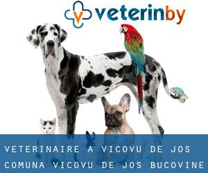 vétérinaire à Vicovu de Jos (Comuna Vicovu de Jos, Bucovine)