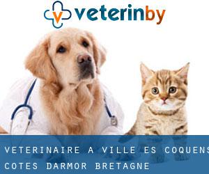 vétérinaire à Ville-ès-Coquens (Côtes-d'Armor, Bretagne)
