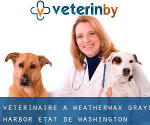 vétérinaire à Weatherwax (Grays Harbor, État de Washington)