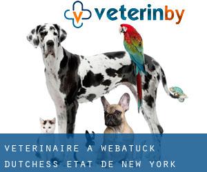 vétérinaire à Webatuck (Dutchess, État de New York) vétérinaire à Webatuck (Dutchess, État de New York)