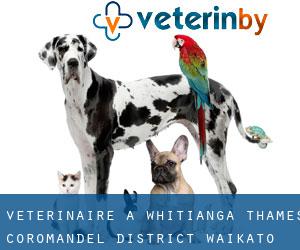 vétérinaire à Whitianga (Thames-Coromandel District, Waikato)