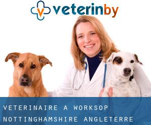vétérinaire à Worksop (Nottinghamshire, Angleterre) vétérinaire à Worksop (Nottinghamshire, Angleterre)