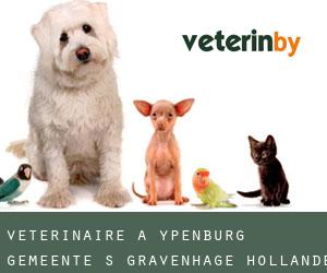 vétérinaire à Ypenburg (Gemeente ’s-Gravenhage, Hollande-Méridionale)