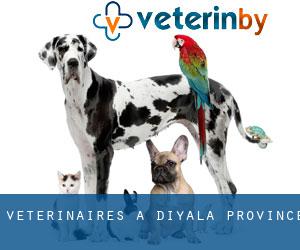 vétérinaires à Diyala Province