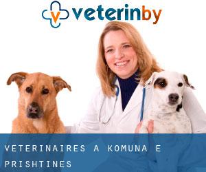 vétérinaires à Komuna e Prishtinës vétérinaires à Komuna e Prishtinës