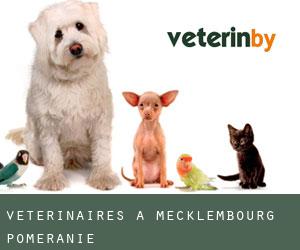 vétérinaires à Mecklembourg-Poméranie