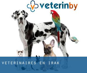 Vétérinaires en Irak
