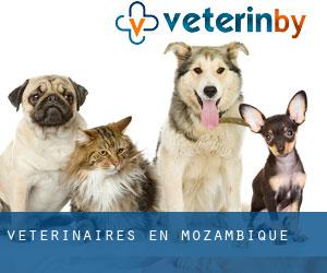Vétérinaires en Mozambique