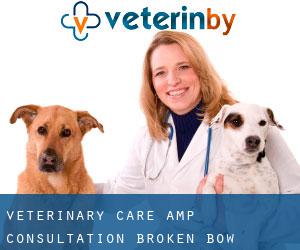 Veterinary Care & Consultation (Broken Bow)