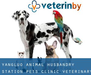 Yangluo Animal Husbandry Station Pets Clinic Veterinary Drug Feedstuff (Guanshang)