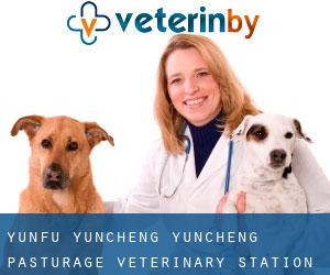 Yunfu Yuncheng Yuncheng Pasturage Veterinary Station